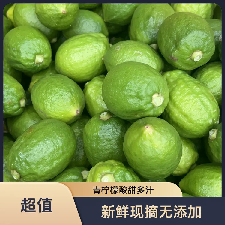 正宗广东无籽香水柠檬新鲜采摘产地直发奶茶店专用一级10斤批发