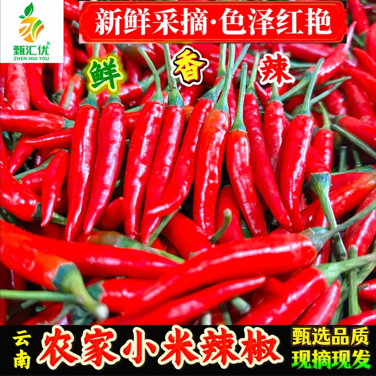 甄汇优 d云南新鲜现摘小米辣椒特辣朝天椒可用于餐饮调味现摘现发