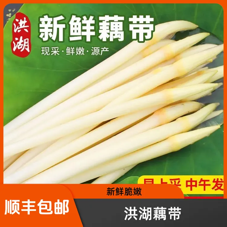 顺丰包邮洪湖新鲜精品藕簪现挖鲜发脆嫩爽口新鲜湖北藕带藕尖新鲜