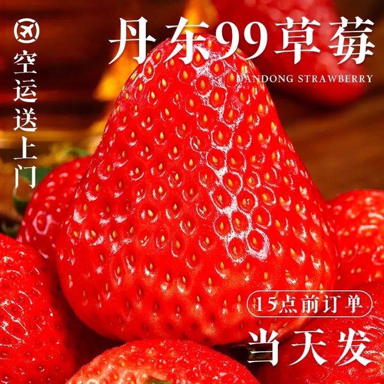 正宗丹东99大草莓新鲜当季水果红颜九九牛奶奶油草莓空运包邮