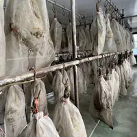 【阿杰专属】云南农家自然风干火腿3年以上老火腿