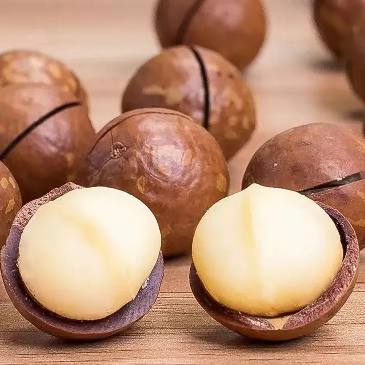 夏威夷果/直径2.6cm特大颗粒奶香坚果/健康零食/年货送礼