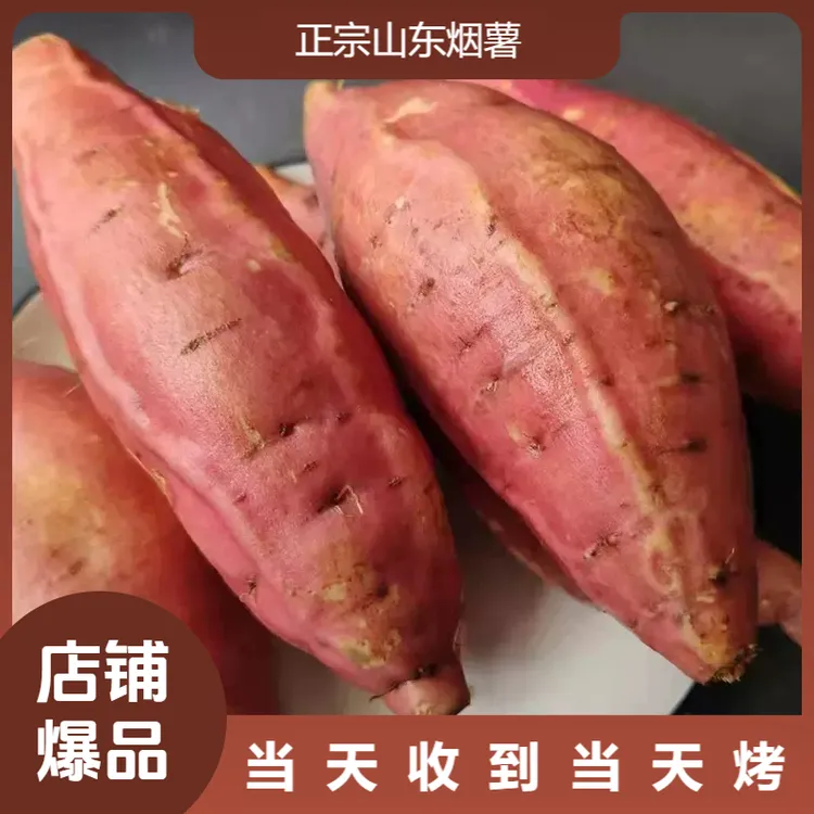 山东烟薯25号5斤蜜薯糖心红薯香甜食用烤地瓜优质山地种植超市