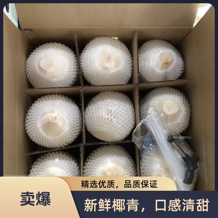 海南削皮椰青新鲜椰子现摘9个装天然口感微酸甜冷藏更佳坏果包赔