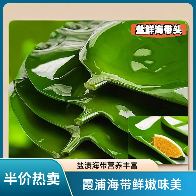 整袋500克霞浦盐渍海带头营养干净鲜嫩厚实凉拌炒菜煲汤厚海带片