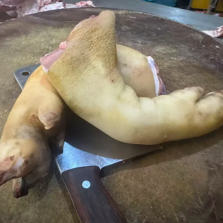 正宗小凉山彝家散养土猪小猪儿小香猪蹄子