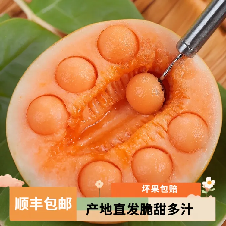 【顺丰包邮】甘肃民勤沙漠蜜瓜金红宝蜜瓜当季黄河蜜瓜2-10斤L