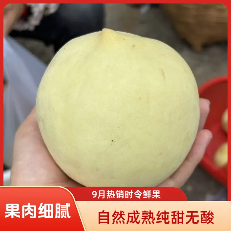 新鲜映霜红冬桃丑桃纯甜无酸口感细腻香甜多汁果香四溢现摘现发