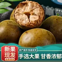 广西桂林原产罗汉果大果干果可搭配胖大海金银花泡茶润喉