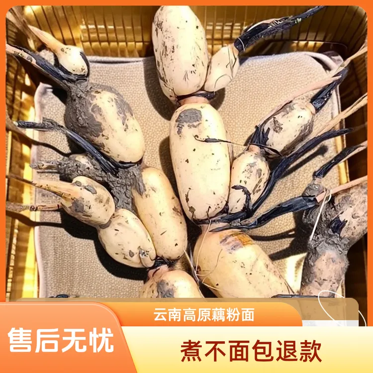 云南高原面莲藕粉面清甜（煮不面包退）2号