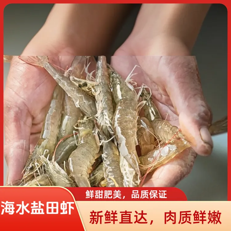鲜甜口感海水盐田,盐场规格35-40头/斤嫌小勿拍,大小生水产海鲜