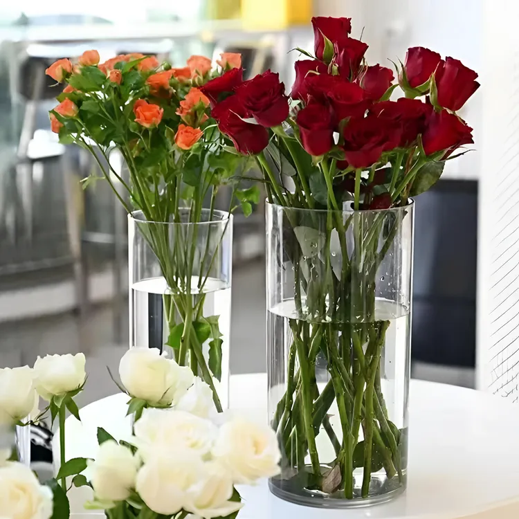 iosn亚克力防摔花瓶摆件客厅插花透明水养富贵竹轻奢高级感醒花桶