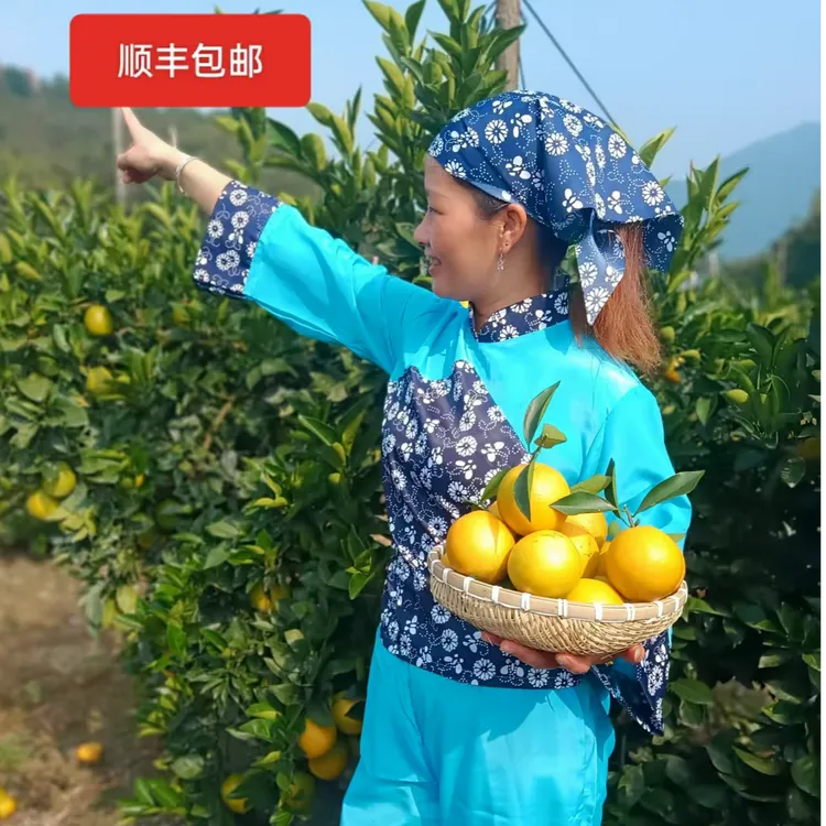 正宗赣南脐橙原汁原味