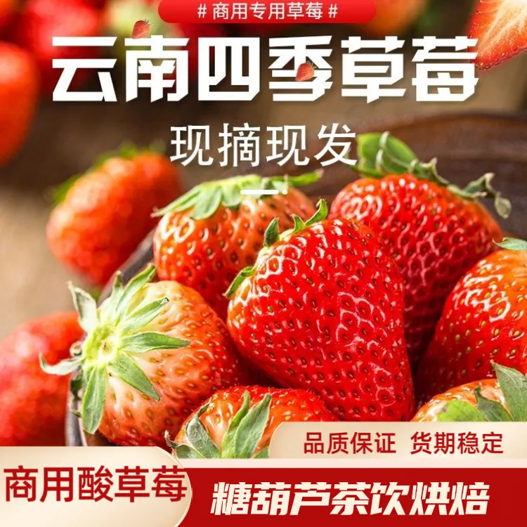 云南四季双流草莓新鲜酸草莓商用蛋糕茶饮烘焙糖葫芦一整箱包邮