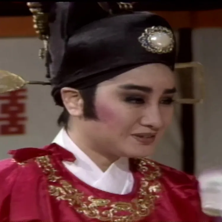 杨丽花歌仔戏 薛丁山与樊梨花