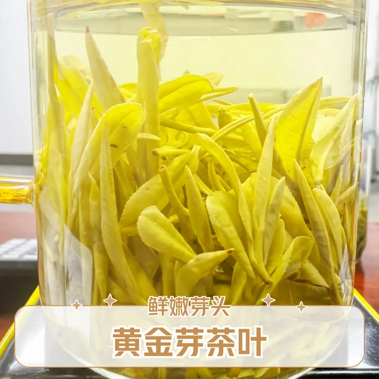 陈茗叶H05黄金芽 2025年新茶  板栗香  口粮茶