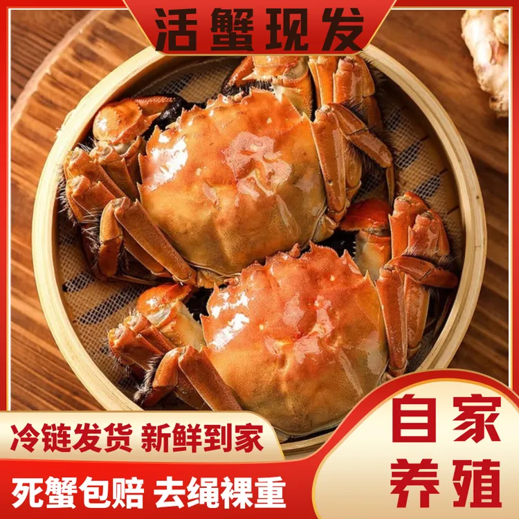【活蟹现发】精品大闸蟹公蟹4.2两+母蟹3.2两4对/5对装礼盒秋觅阳澄