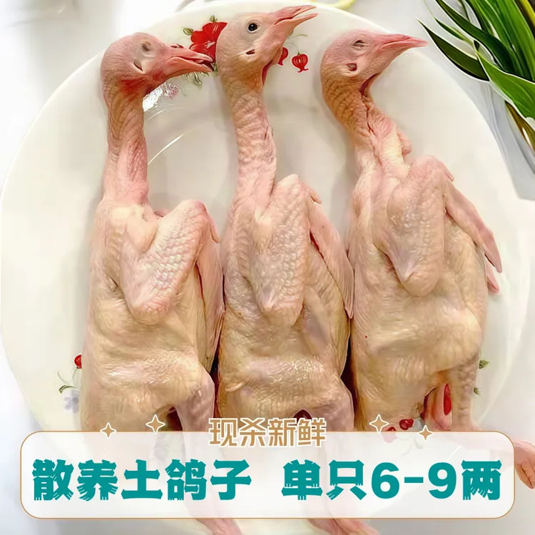 【两只】新鲜宰杀顺丰农家散养土鸽子炖汤烧烤老鸽子补营养