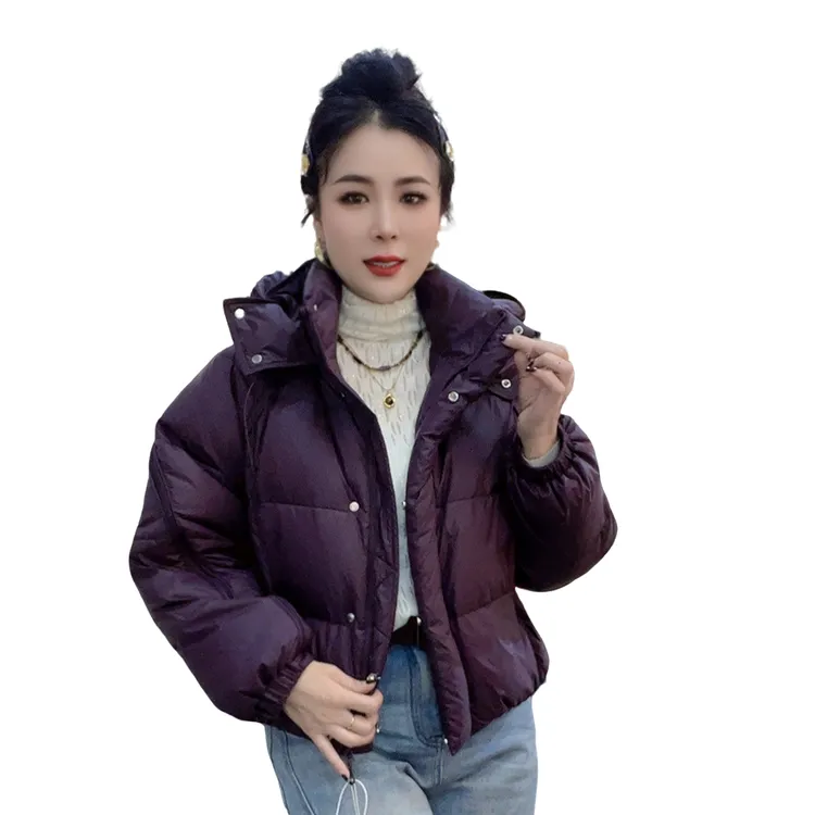 莉丽佳837款女装冬季长袖立领连帽收口袖加厚羽绒服洋气休闲百搭0