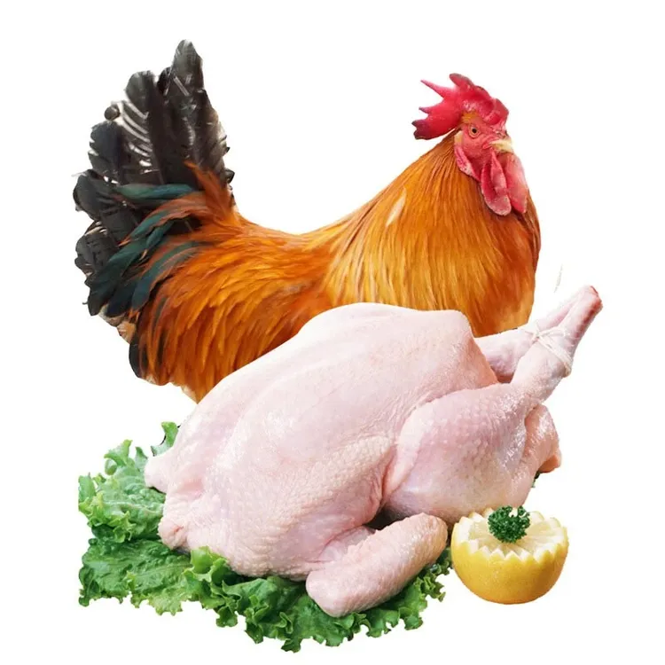 【大公鸡3只】农家散养鸡大公鸡 生鲜鸡肉 2斤/只 H