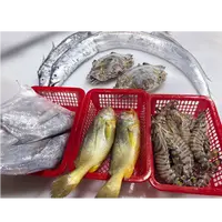【宁东宴】中秋礼包带鱼2条+鲳鱼2条+黄鱼2条+竹节虾1盒+2呛蟹