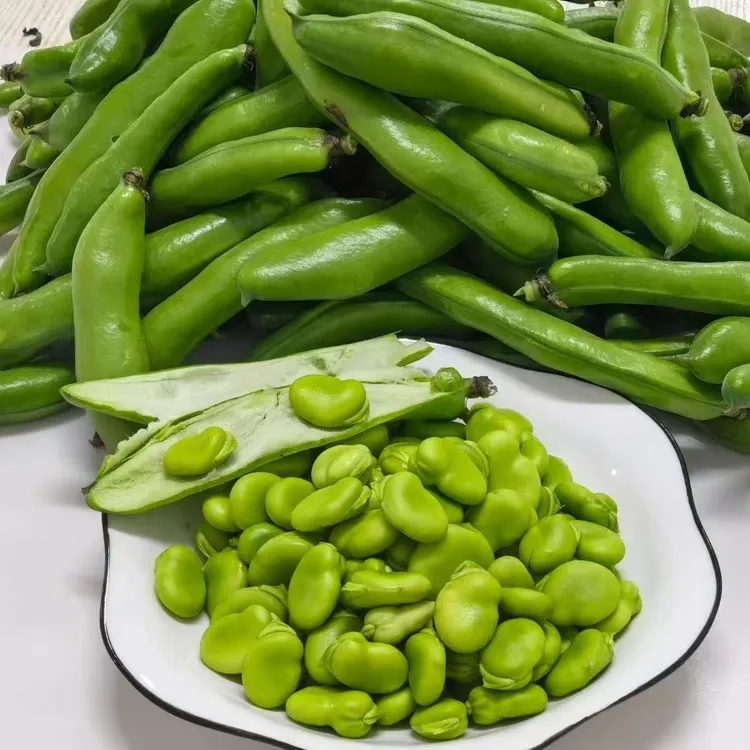 上海本地露天蚕豆