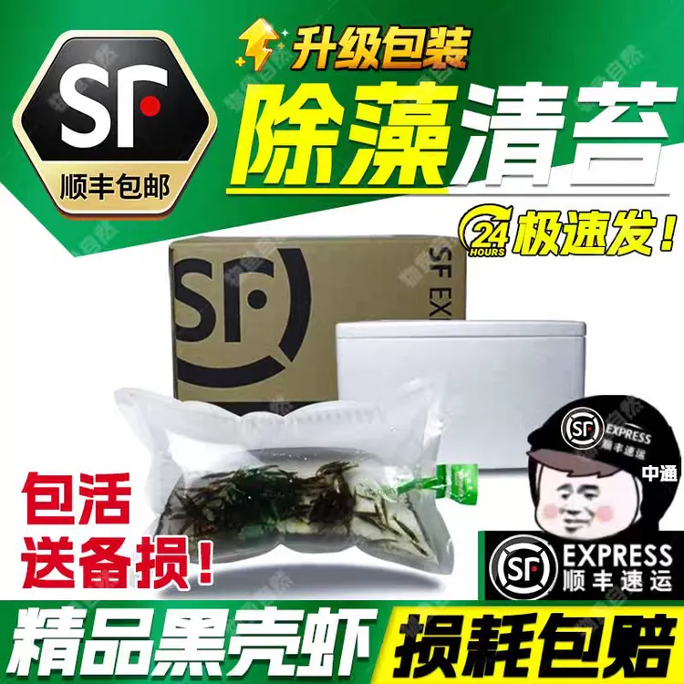 黑壳虾除藻观赏虾鱼缸里放的冷水淡水虾小虾工具虾清洁虾小鱼鱼粮