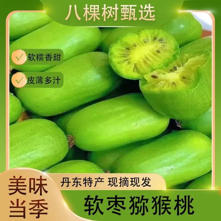 【收到货后放软了吃】丹东软枣小猕猴桃奇异果圆枣子【到手一斤30个】