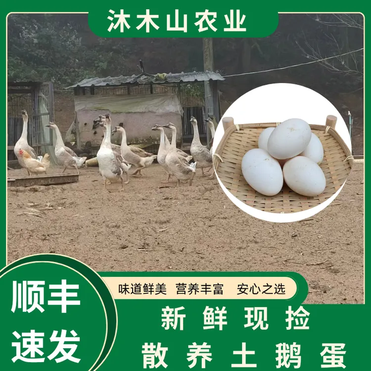 沐木山农家散养土鹅蛋  含硒、高卵磷脂   老少皆宜 滋补大鹅蛋