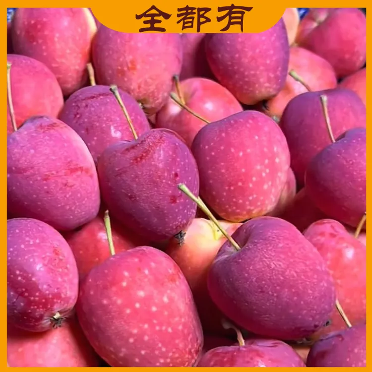 【柱子专属】净重3斤/5斤！鸡心果！东北鸡心果！新鲜脆甜小苹果