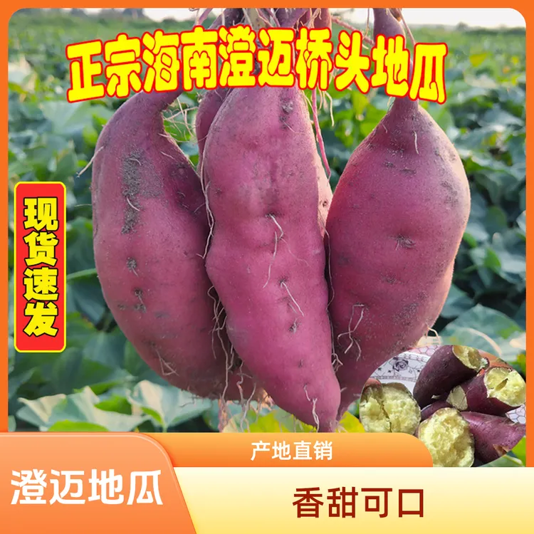 【主播推荐】海南澄迈桥头地瓜富硒新鲜番薯产地直销沙地板栗香甜