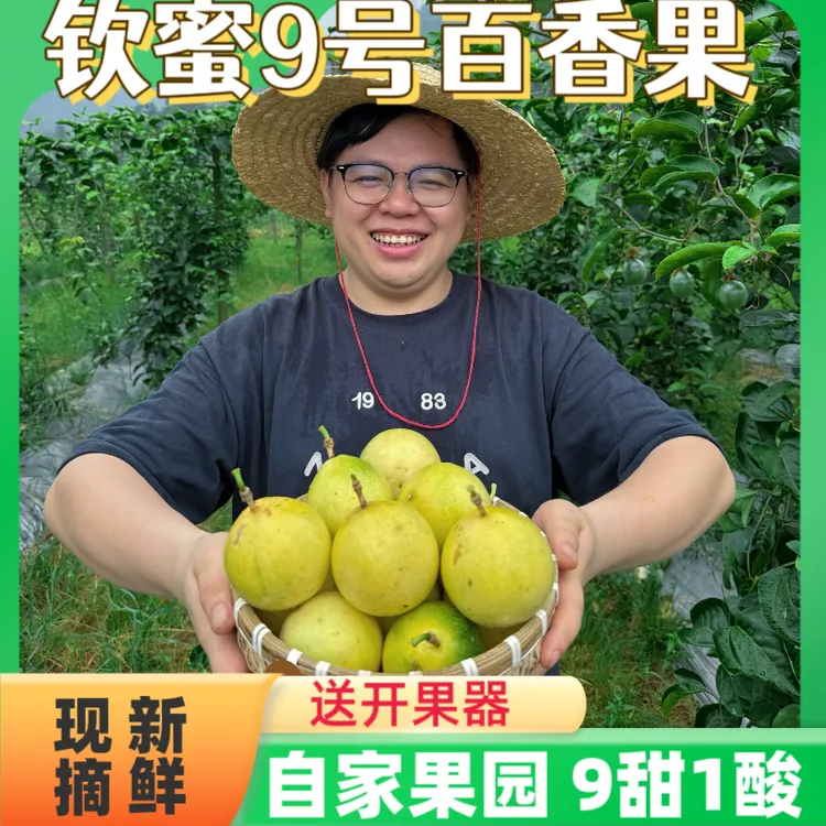 桂林高山钦蜜9号黄金百香果钦蜜九号精品A级新鲜现摘果园直发应季