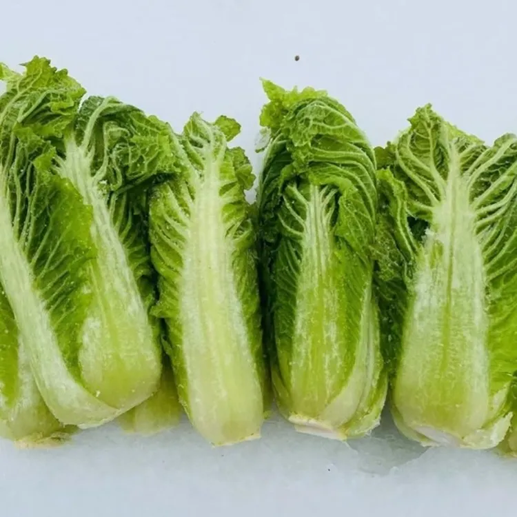 东北冻白菜整颗发货天然冷冻东北特色蘸酱菜