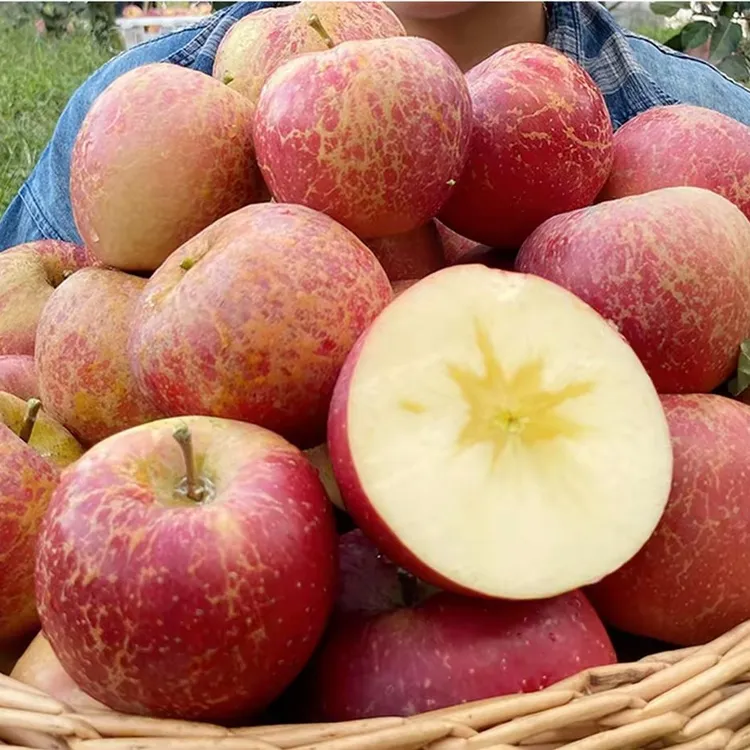 品质2025高山红富士苹果当季现摘新鲜水果脆甜冰糖心丑平苹果