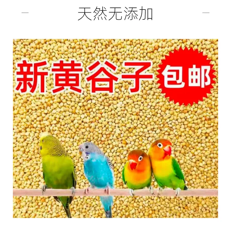 新黄谷子带壳小米鸟粮适合中小型鹦鹉虎皮玄凤牡丹食用