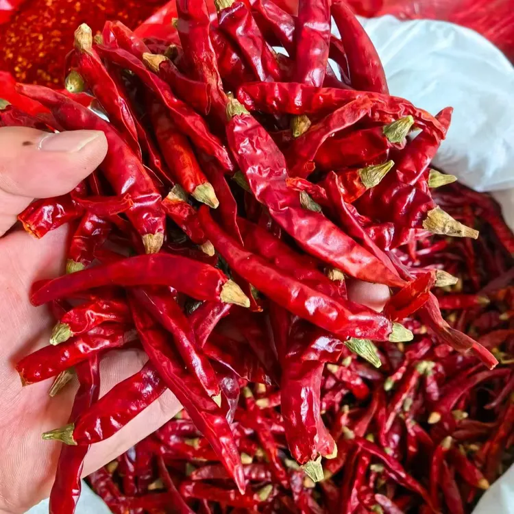 干辣椒红辣椒干货农家小米辣椒调料厨房调味品