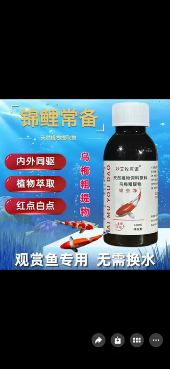 锦虫净内外双驱观赏鱼合缸合池交叉感染调节水质净化水质