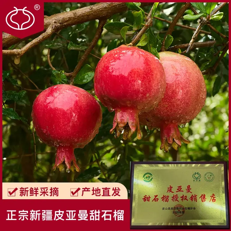 皮亚曼【限售10单库存有限】果王新疆皮亚勒玛乡甜石榴产地直发水果