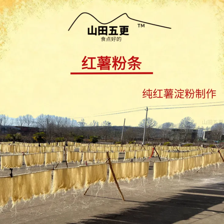汝阳红薯粉条2025年正宗纯红薯粉条细粉宽粉无矾0添加