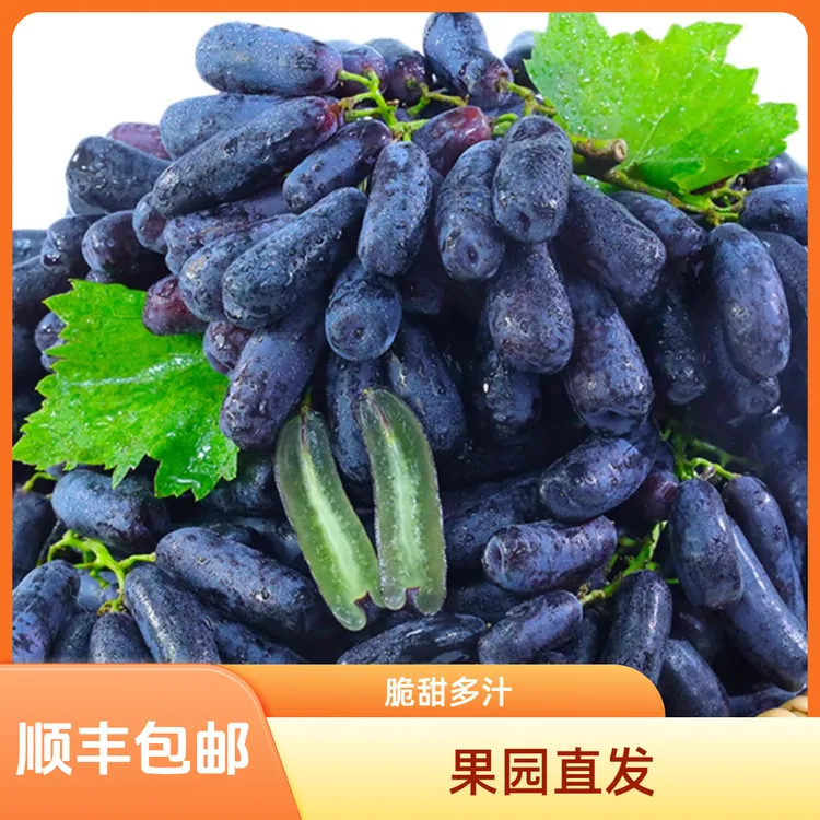 顺丰包邮蓝宝石葡萄皮薄无籽脆甜多汁3斤孕妇水果无核口感甜蜜