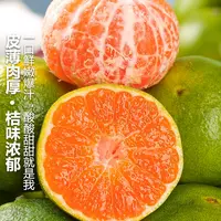 次日达】云南蜜桔蜜橘青皮当季新鲜现货青皮无籽水果酸甜橘云南省云南省