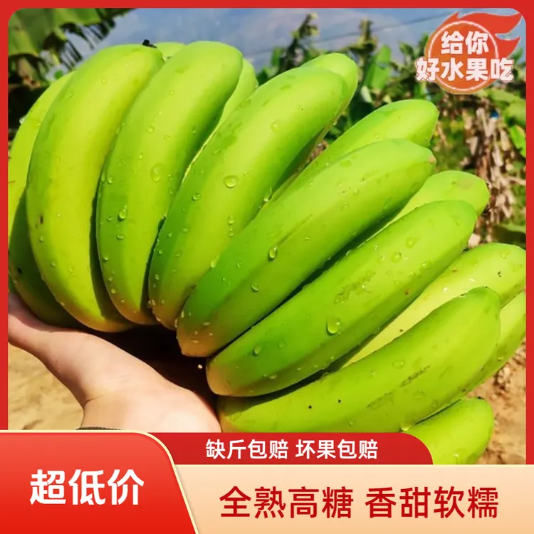 【现货现发】正宗广东高山甜香蕉当季新鲜水果把蕉青皮发孕妇甜整箱