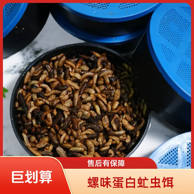 【海川锐黑水虻虫】钓鱼底窝料鱼饵鲫鱼鲤鱼黄桑鱼打窝底窝通用鱼食