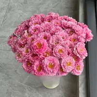 【一品花集】新品稀有【莓莓软糖】多头玫瑰（注意：带包装醒花哦~）