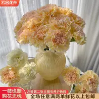 【云舍花卉】【可可西里】单头康乃馨全场鲜花任意满两单及以上包邮