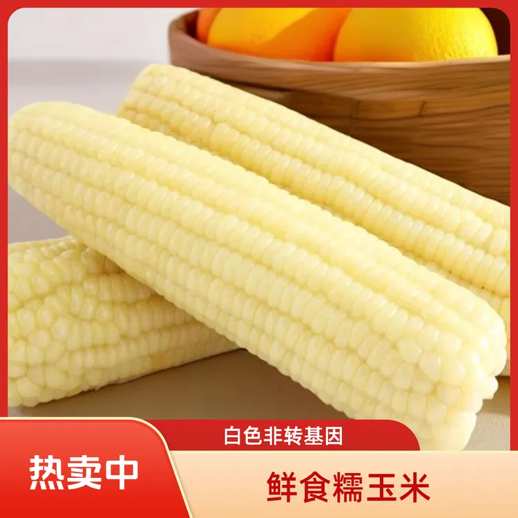 25年白色 东北熟制鲜食糯玉米净含量5斤以上（6至8根）非转基因