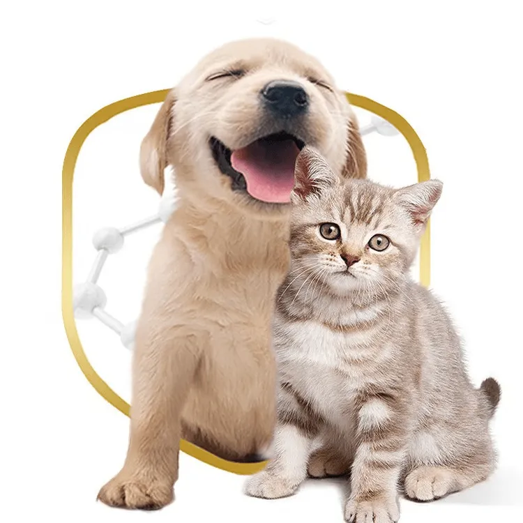 宠物通用干洗免洗泡沫慕斯猫狗沐浴露抑菌除螨温和不刺激柔顺毛发商品图