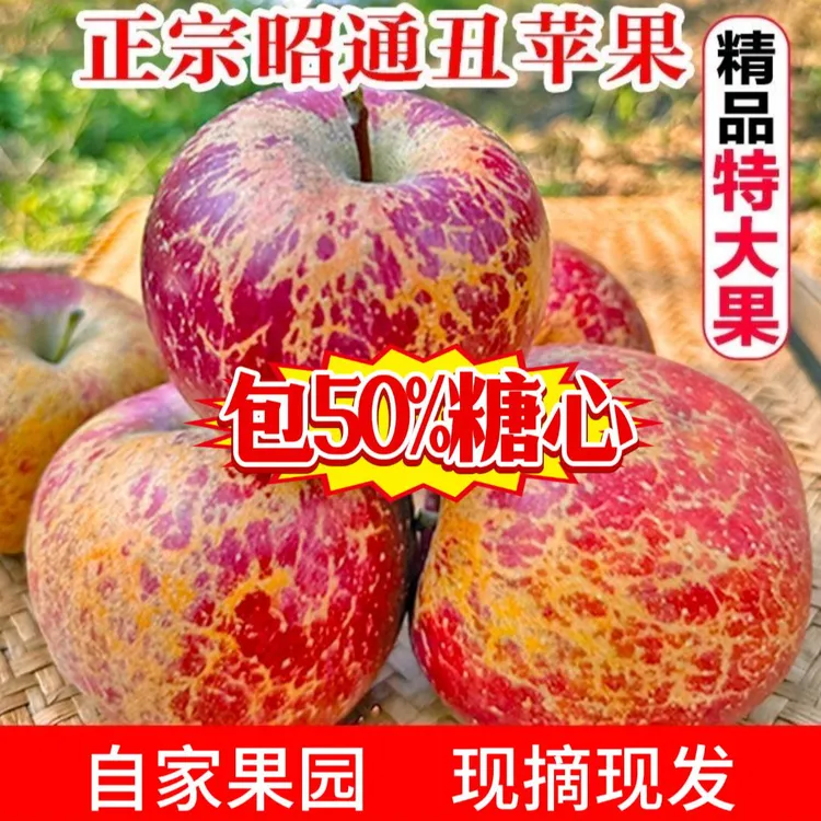 10斤云南昭通糖心丑苹果新鲜现摘脆甜多汁当季水果