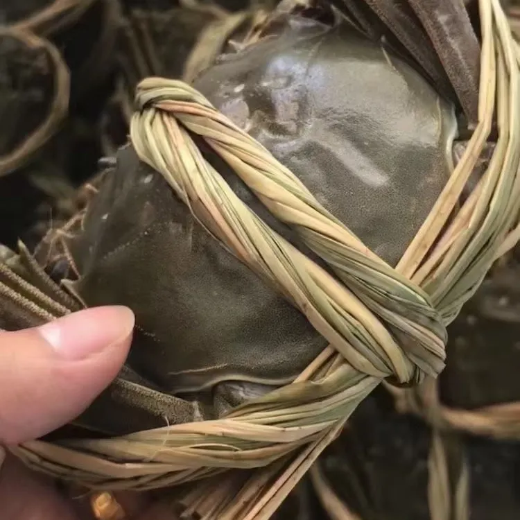 精品5只公2两半5只母2两顺丰包邮礼盒装