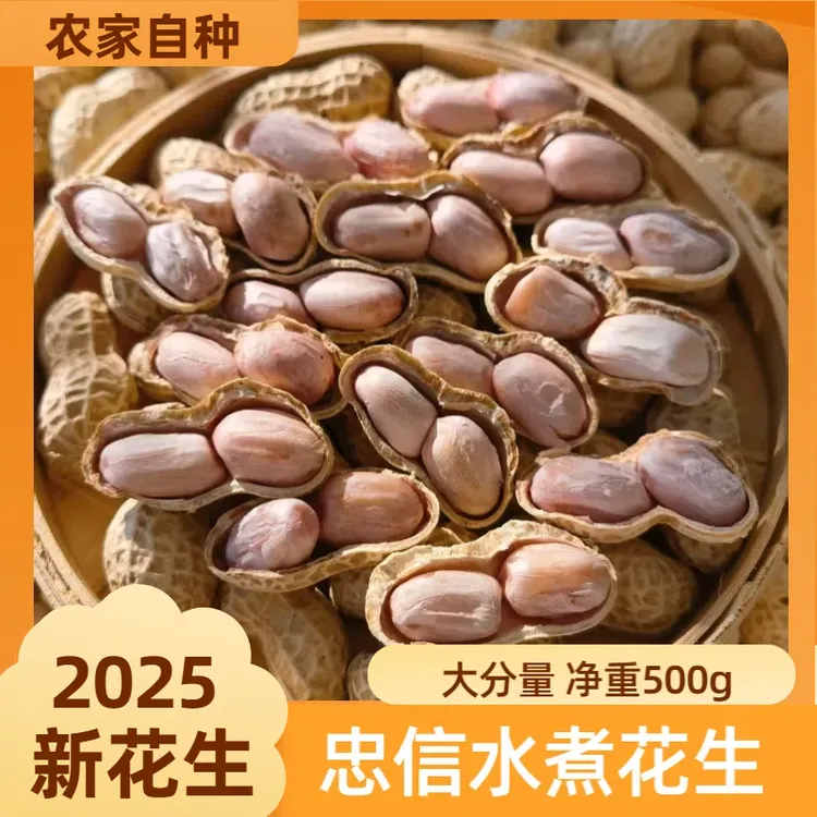 25年新花生广东忠信水煮咸干花生软糯鲜香去壳即食中秋必备零食